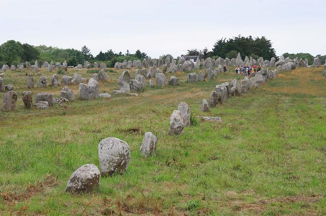 382 Carnac Mégalithes.JPG